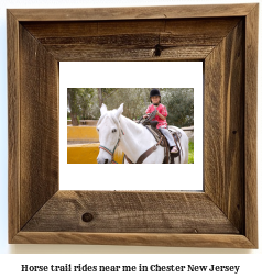 horse trail rides near me in Chester, New Jersey